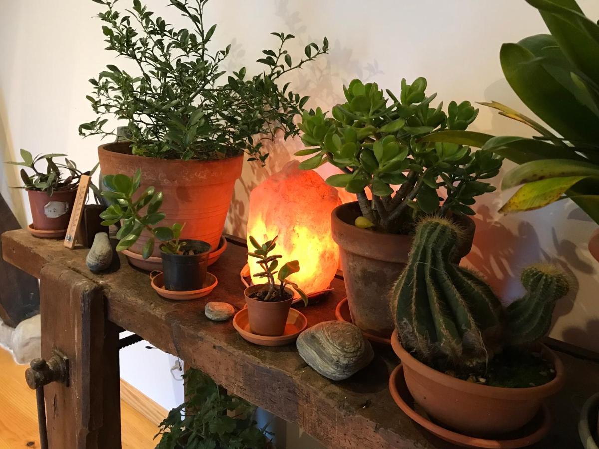 Chambre D'Hote Aux Pivoines Nistos 外观 照片